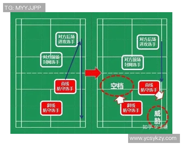 从零基础到高手之路羽毛球技巧与训练全解析