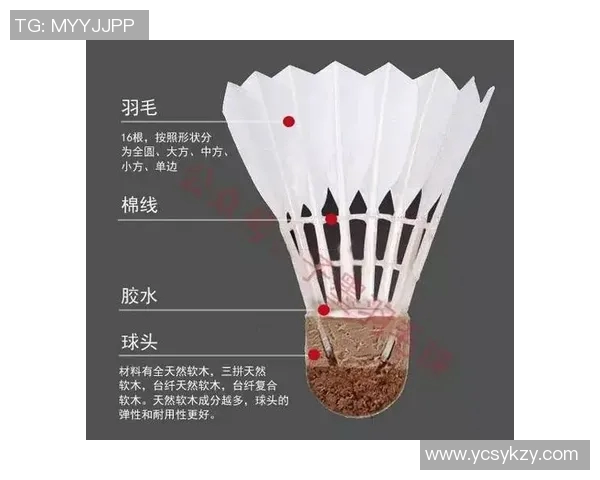 广州羽毛球队的节奏体系与战术分析探讨羽毛球比赛中的胜负关键