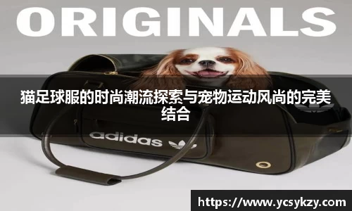 猫足球服的时尚潮流探索与宠物运动风尚的完美结合